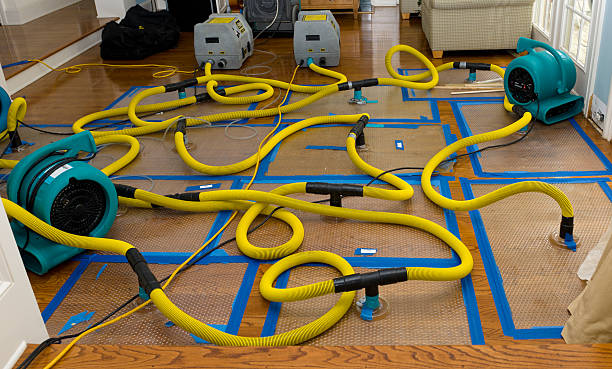 Professional Crawl Space Water Removal technician working in South Rockwood, MI